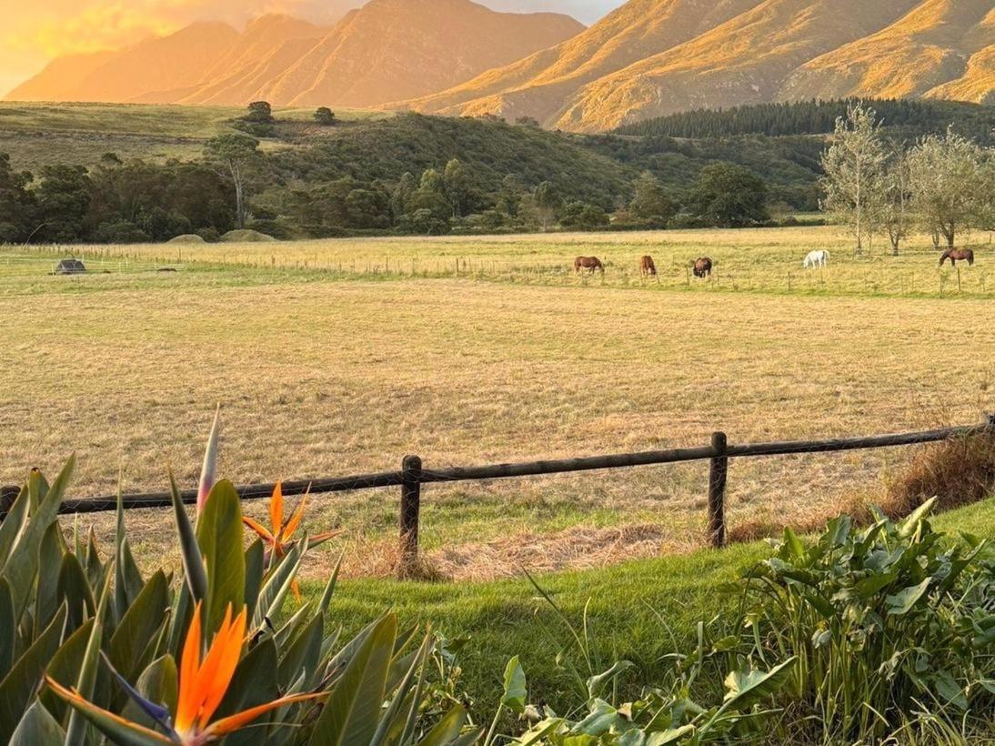 Arumvale Country Retreat Swellendam Exterior foto